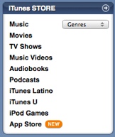 iTunes Store panel