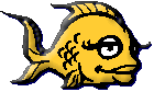 goldfish