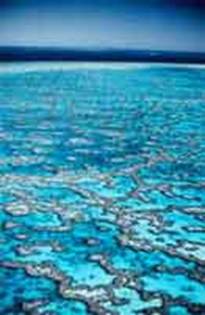 Aerial photograph of the Great Barrier Reef
