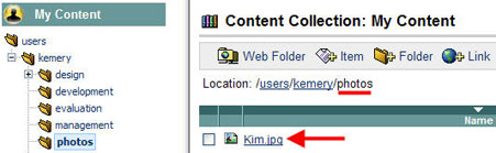 File in Folder