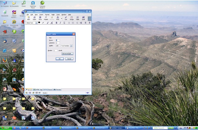 image of screen shot
