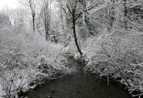 winter2