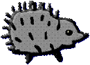 porcupine