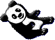 panda bear