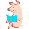 pig 1