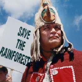 Rain Forest People