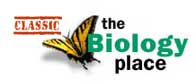 Classic The Biology Place