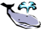 Click To Preview