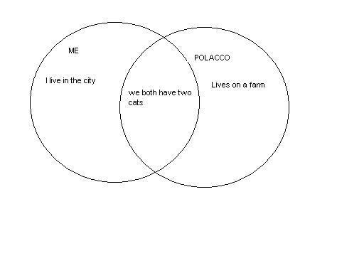 venn diagram