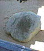 Plymouth Rock Top View