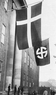 Nazi Flag
