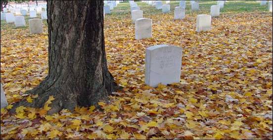 Gravesite covered in autumn leaves at Arlington National Cemetery.