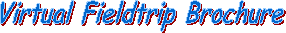 Virtual Fieldtrip Brochure