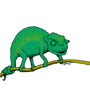 chameleon