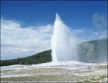 old faithful