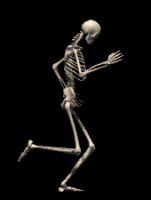 bonerunner