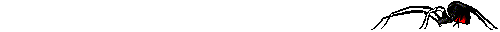 spider
