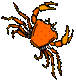 crab