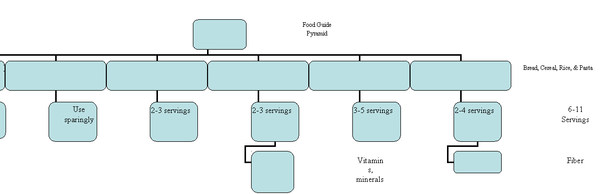 Organization Chart