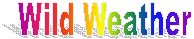 Wild Weather