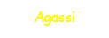 Text Box: Agassi