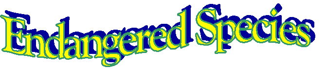 Endangered Species 