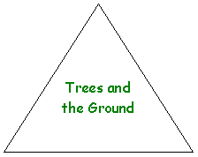 Isosceles Triangle: Trees and the Ground