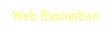 Text Box: Web Evaluation