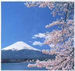photo of mount fuji with cherry blossom at right