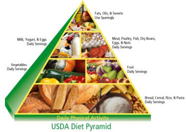 Food_Guide_Pyramid_USDA.jpg