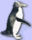 dropin4.gif