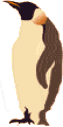 dropin41.gif