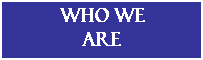 Text Box: WHO we 
are
