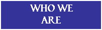 Text Box: WHO we 
are
