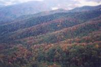 fallmountains.jpg - Fall
