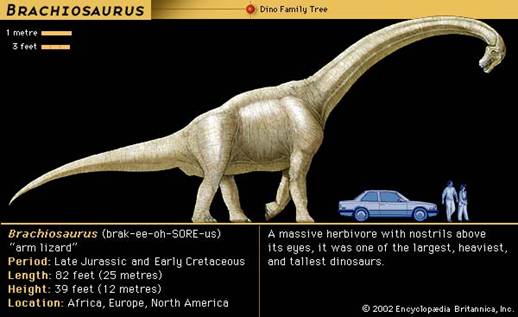 [Credits : Encyclop�dia Britannica, Inc.]