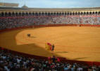 Seville's Maestranza bullfighting arena