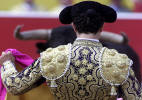 Matador in his suit of lights