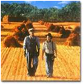 omam pic field.jpg