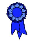 blue ribbon (large)