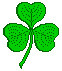 shamrock
