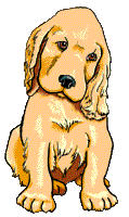 puppy